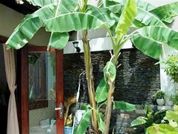 Banana Leaf Khách sạn